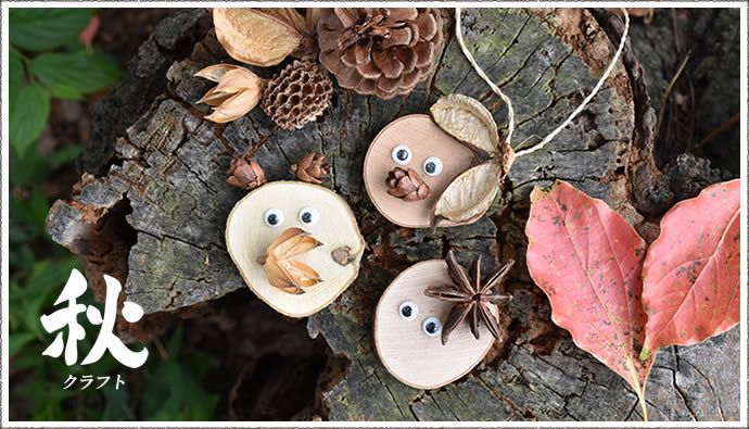 autumn-2024.jpg