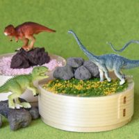 わっぱの恐竜ジオラマボックス（8人分） | TUKTUK子供工作館